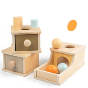 Montessori Educational Sensory Wooden Toys